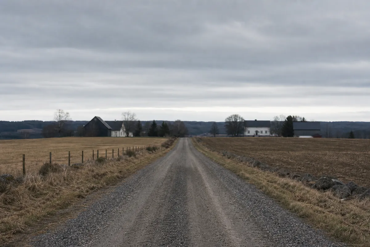 Lång rak grusväg genom öppet odlingslandskap mot en låg horisont